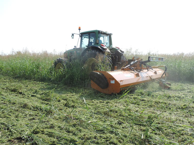 Broyeur LAND/P pour tracteur 100 à 300 CV — vignette 4
