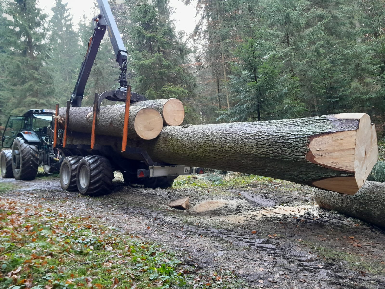 Remorque BMF 18T1 + Grue BMF 1000HD — vignette 3