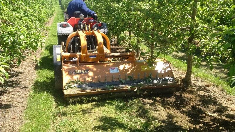 Broyeur TFB/M pour tracteurs de 70 à 150 CV — vignette 3