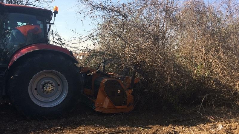 Broyeur FOREST PRO pour tracteur de 180 à 350 Cv — vignette 3